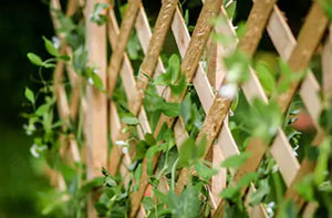 Fencing Contractors Biggleswade Bedfordshire